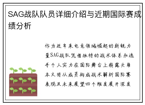 SAG战队队员详细介绍与近期国际赛成绩分析